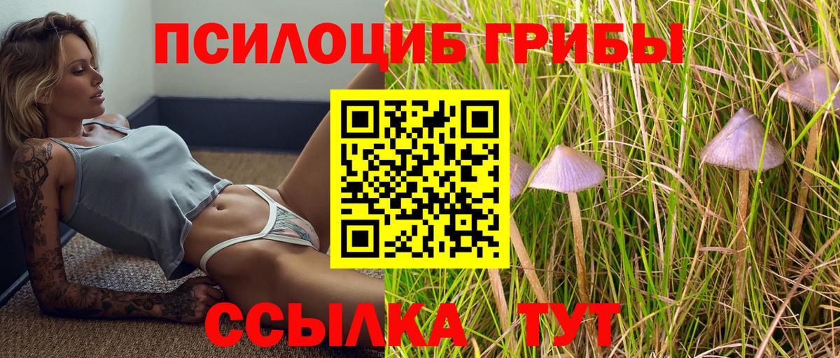 Галлюциногенные грибы Magic Shrooms  Псилоцибиновые грибы мухоморы  Анапа  Вход с VPN 